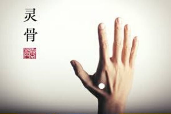 courseimage